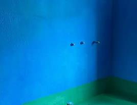 龙子湖卫生间测漏水多少钱